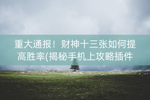 重大通报！财神十三张如何提高胜率(揭秘手机上攻略插件)