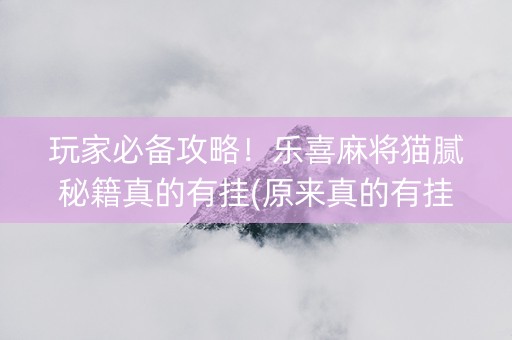 玩家必备攻略！乐喜麻将猫腻秘籍真的有挂(原来真的有挂)
