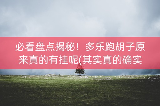 必看盘点揭秘！多乐跑胡子原来真的有挂呢(其实真的确实有挂)