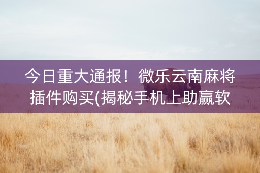今日重大通报！微乐云南麻将插件购买(揭秘手机上助赢软件)