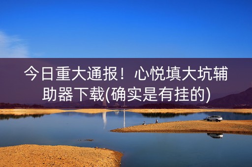 今日重大通报！心悦填大坑辅助器下载(确实是有挂的)