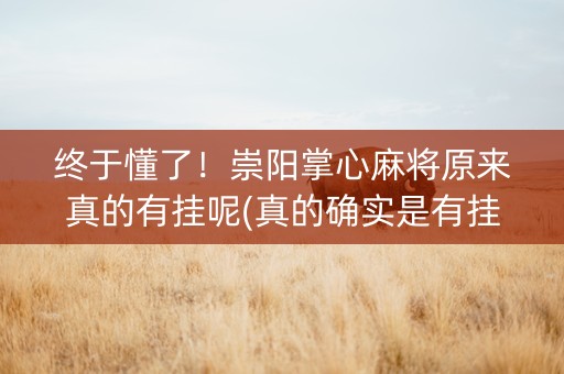 终于懂了！崇阳掌心麻将原来真的有挂呢(真的确实是有挂)