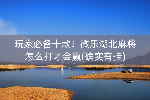 玩家必备十款！微乐湖北麻将怎么打才会赢(确实有挂)