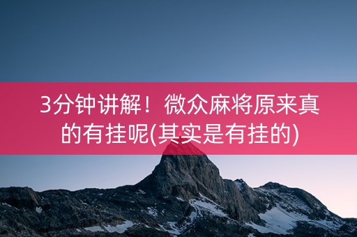 3分钟讲解！微众麻将原来真的有挂呢(其实是有挂的)