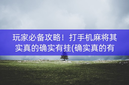 玩家必备攻略！打手机麻将其实真的确实有挂(确实真的有挂)