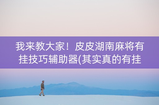 我来教大家！皮皮湖南麻将有挂技巧辅助器(其实真的有挂)