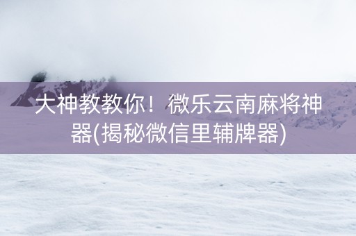 大神教教你！微乐云南麻将神器(揭秘微信里辅牌器)