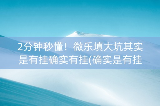2分钟秒懂！微乐填大坑其实是有挂确实有挂(确实是有挂)