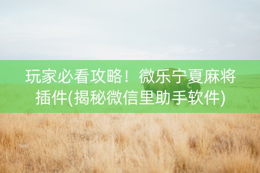 玩家必看攻略！微乐宁夏麻将插件(揭秘微信里助手软件)