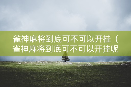 雀神麻将到底可不可以开挂（雀神麻将到底可不可以开挂呢）