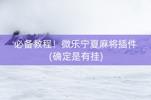 必备教程！微乐宁夏麻将插件(确定是有挂)