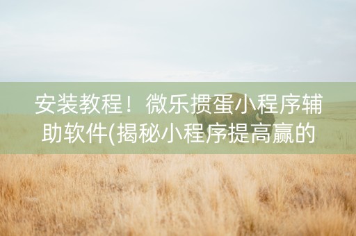安装教程！微乐掼蛋小程序辅助软件(揭秘小程序提高赢的概率)