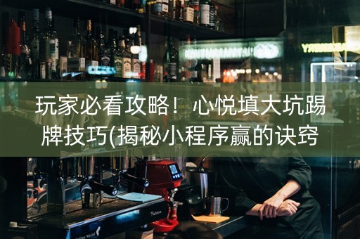 玩家必看攻略！心悦填大坑踢牌技巧(揭秘小程序赢的诀窍)