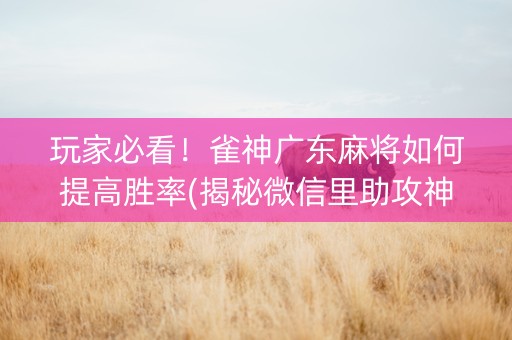 玩家必看！雀神广东麻将如何提高胜率(揭秘微信里助攻神器)