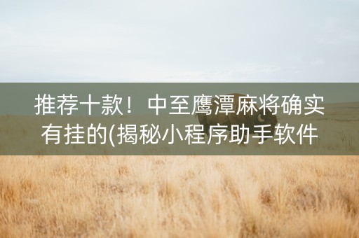 推荐十款！中至鹰潭麻将确实有挂的(揭秘小程序助手软件)