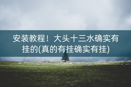安装教程！大头十三水确实有挂的(真的有挂确实有挂)