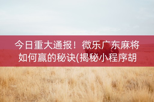 今日重大通报！微乐广东麻将如何赢的秘诀(揭秘小程序胡牌技巧)