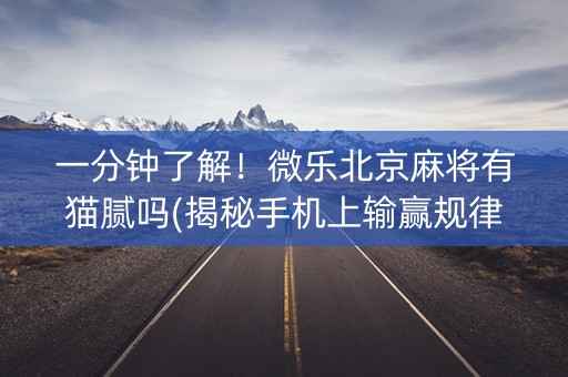 一分钟了解！微乐北京麻将有猫腻吗(揭秘手机上输赢规律)