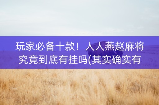 玩家必备十款！人人燕赵麻将究竟到底有挂吗(其实确实有挂)