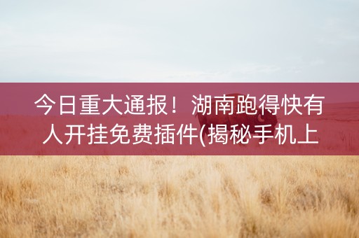 今日重大通报！湖南跑得快有人开挂免费插件(揭秘手机上插件免费)
