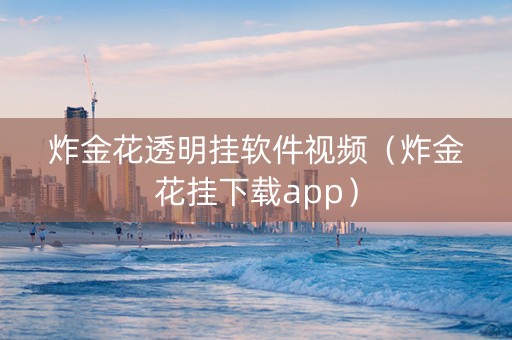 炸金花透明挂软件视频（炸金花挂下载app）