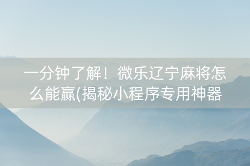 一分钟了解！微乐辽宁麻将怎么能赢(揭秘小程序专用神器)