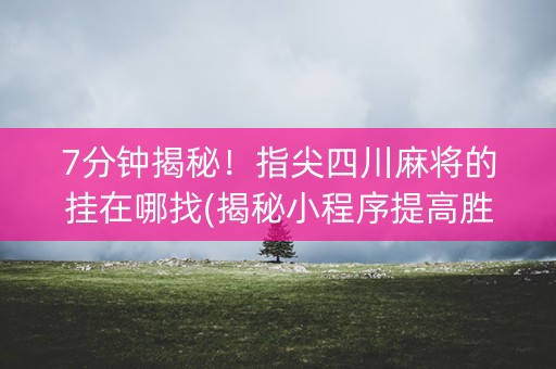 7分钟揭秘！指尖四川麻将的挂在哪找(揭秘小程序提高胜率)