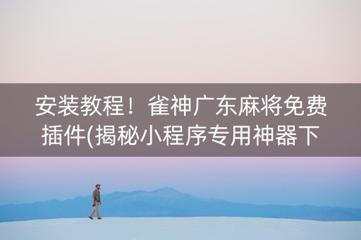 安装教程！雀神广东麻将免费插件(揭秘小程序专用神器下载)