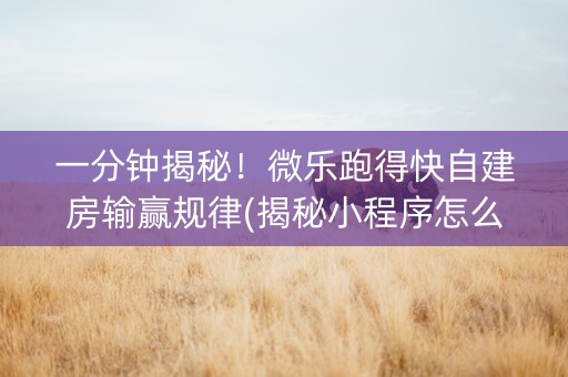 一分钟揭秘！微乐跑得快自建房输赢规律(揭秘小程序怎么容易赢)