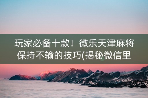 玩家必备十款！微乐天津麻将保持不输的技巧(揭秘微信里助赢软件)
