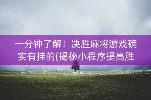 一分钟了解！决胜麻将游戏确实有挂的(揭秘小程序提高胜率)