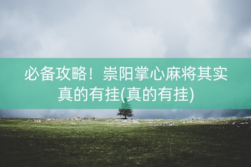 必备攻略！崇阳掌心麻将其实真的有挂(真的有挂)