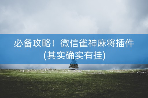 必备攻略！微信雀神麻将插件(其实确实有挂)