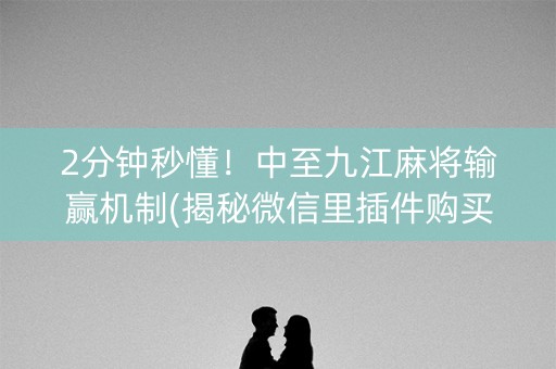 2分钟秒懂！中至九江麻将输赢机制(揭秘微信里插件购买)