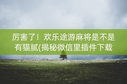 厉害了！欢乐途游麻将是不是有猫腻(揭秘微信里插件下载)