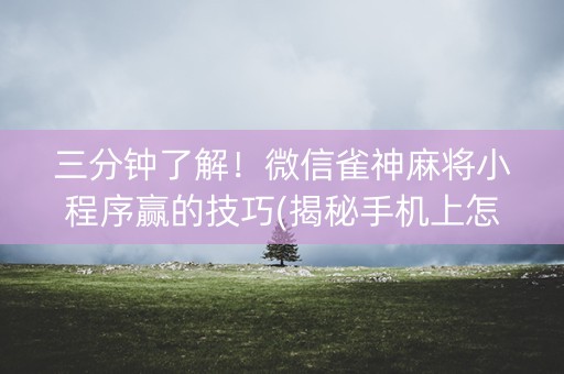 三分钟了解！微信雀神麻将小程序赢的技巧(揭秘手机上怎么容易赢)