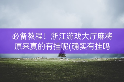 必备教程！浙江游戏大厅麻将原来真的有挂呢(确实有挂吗)