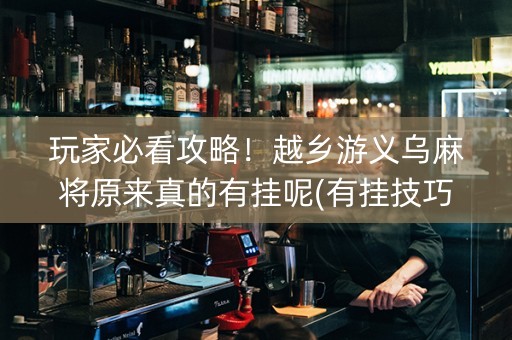 玩家必看攻略！越乡游义乌麻将原来真的有挂呢(有挂技巧辅助器)