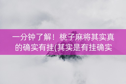 一分钟了解！桃子麻将其实真的确实有挂(其实是有挂确实有挂)
