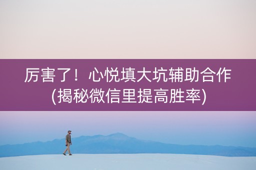 厉害了！心悦填大坑辅助合作(揭秘微信里提高胜率)