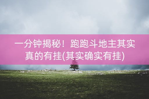 一分钟揭秘！跑跑斗地主其实真的有挂(其实确实有挂)