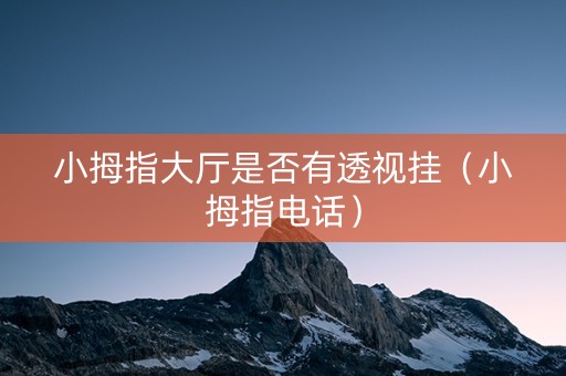 小拇指大厅是否有透视挂（小拇指电话）
