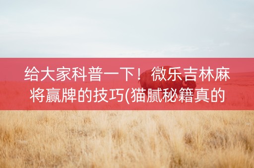 给大家科普一下！微乐吉林麻将赢牌的技巧(猫腻秘籍真的有挂)