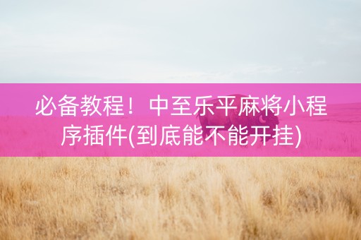 必备教程！中至乐平麻将小程序插件(到底能不能开挂)