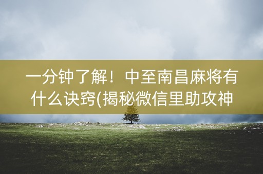一分钟了解！中至南昌麻将有什么诀窍(揭秘微信里助攻神器)