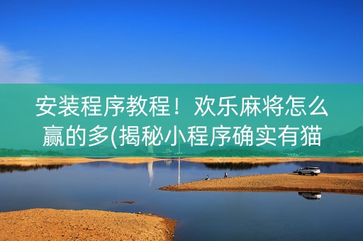 安装程序教程！欢乐麻将怎么赢的多(揭秘小程序确实有猫腻)