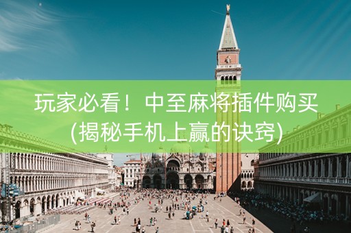 玩家必看！中至麻将插件购买(揭秘手机上赢的诀窍)