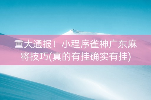 重大通报！小程序雀神广东麻将技巧(真的有挂确实有挂)