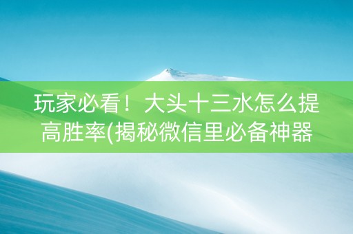 玩家必看！大头十三水怎么提高胜率(揭秘微信里必备神器)