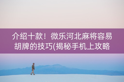 介绍十款！微乐河北麻将容易胡牌的技巧(揭秘手机上攻略插件)